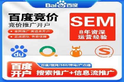 电商SEM推广案例解析